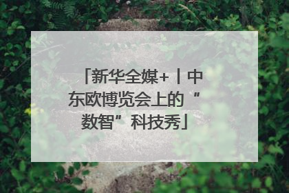 新华全媒+丨中东欧博览会上的“数智”科技秀
