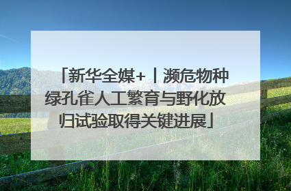 新华全媒+丨濒危物种绿孔雀人工繁育与野化放归试验取得关键进展
