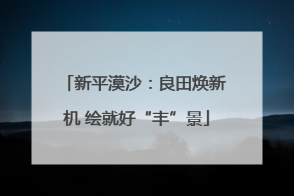 新平漠沙：良田焕新机 绘就好“丰”景