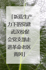 新质生产力下的党建 武汉校促会党支部走进革命老区黄冈