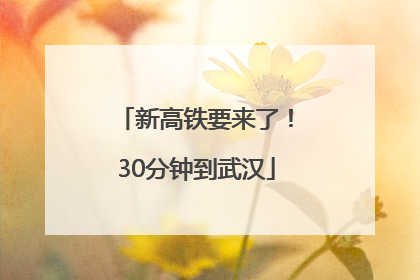 新高铁要来了！30分钟到武汉