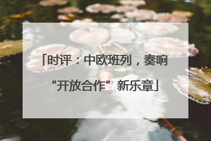 时评：中欧班列，奏响“开放合作”新乐章