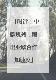 时评：中欧班列，跑出亚欧合作加速度