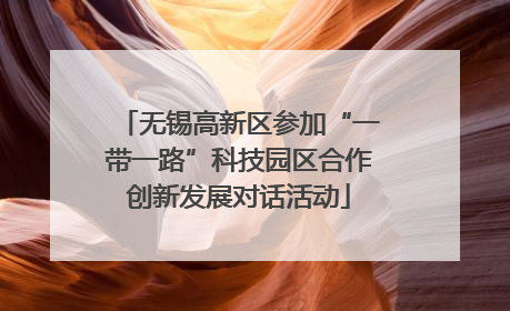 无锡高新区参加“一带一路”科技园区合作创新发展对话活动