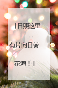 日照这里有片向日葵花海！