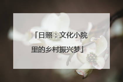 日照：文化小院里的乡村振兴梦