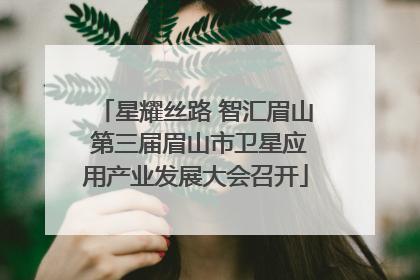 星耀丝路 智汇眉山 第三届眉山市卫星应用产业发展大会召开