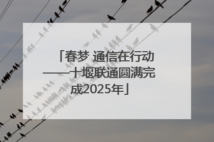 春梦 通信在行动——十堰联通圆满完成2025年