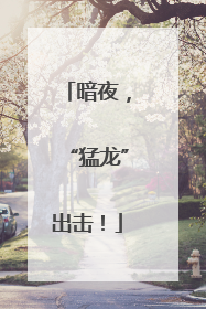 暗夜，“猛龙”出击！