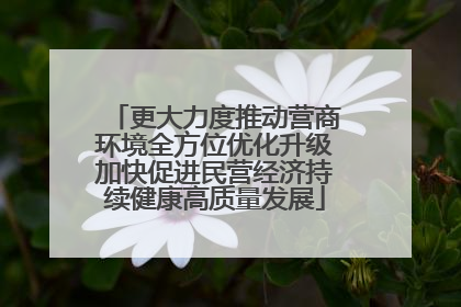 更大力度推动营商环境全方位优化升级加快促进民营经济持续健康高质量发展