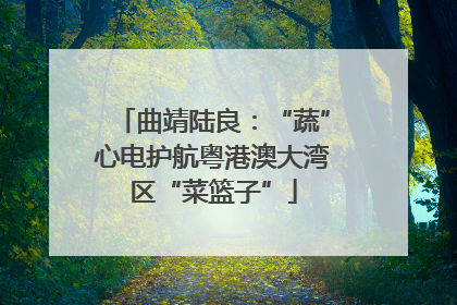 曲靖陆良：“蔬”心电护航粤港澳大湾区“菜篮子”