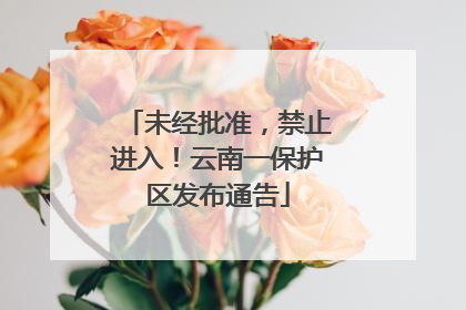 未经批准，禁止进入！云南一保护区发布通告
