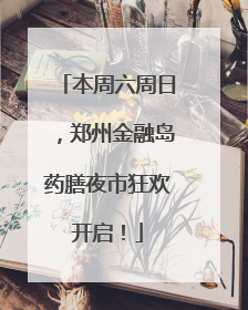 本周六周日，郑州金融岛药膳夜市狂欢开启！