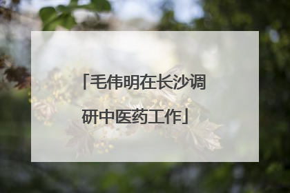 毛伟明在长沙调研中医药工作