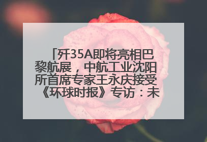 歼35A即将亮相巴黎航展，中航工业沈阳所首席专家王永庆接受《环球时报》专访：未来数量可以有很多