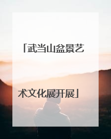 武当山盆景艺术文化展开展