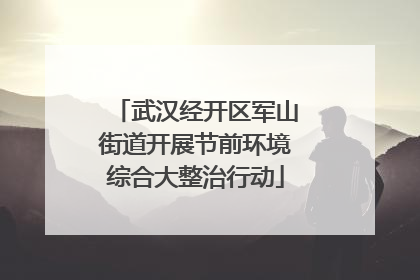 武汉经开区军山街道开展节前环境综合大整治行动