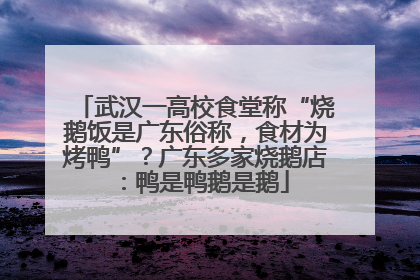 武汉一高校食堂称“烧鹅饭是广东俗称，食材为烤鸭”？广东多家烧鹅店：鸭是鸭鹅是鹅