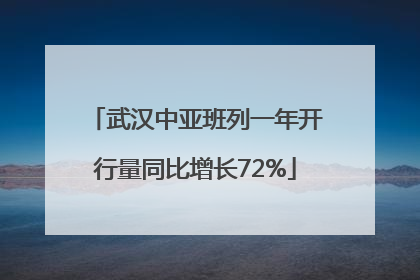 武汉中亚班列一年开行量同比增长72%