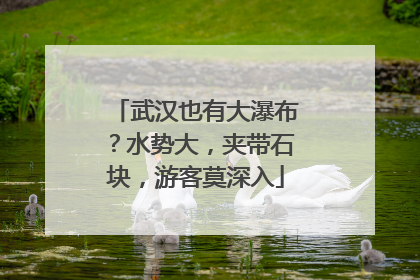 武汉也有大瀑布？水势大，夹带石块，游客莫深入
