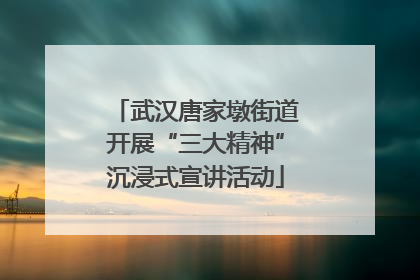 武汉唐家墩街道开展“三大精神”沉浸式宣讲活动
