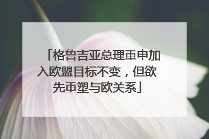 格鲁吉亚总理重申加入欧盟目标不变，但欲先重塑与欧关系