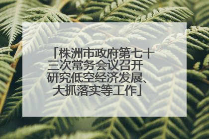 株洲市政府第七十三次常务会议召开 研究低空经济发展、大抓落实等工作