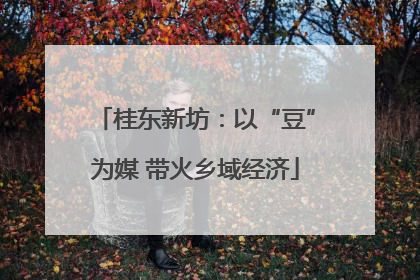 桂东新坊：以“豆”为媒 带火乡域经济