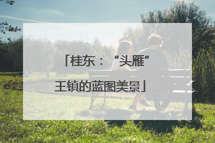 桂东：“头雁”王镇的蓝图美景