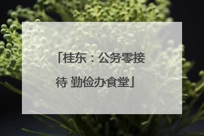 桂东：公务零接待 勤俭办食堂