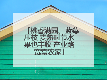 桃香满园、蓝莓压枝 麦熟时节水果也丰收 产业路宽富农家