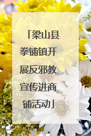 梁山县拳铺镇开展反邪教宣传进商铺活动