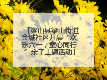 梁山县梁山街道金城社区开展“欢乐六一，童心同行”亲子主题活动