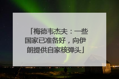 梅德韦杰夫：一些国家已准备好，向伊朗提供自家核弹头