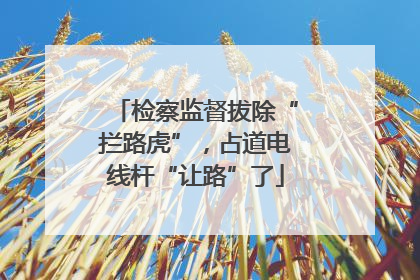 检察监督拔除“拦路虎”，占道电线杆“让路”了