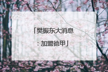 樊振东大消息：加盟德甲