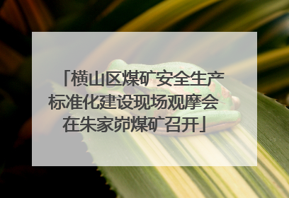 横山区煤矿安全生产标准化建设现场观摩会在朱家峁煤矿召开