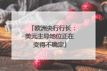 欧洲央行行长：美元主导地位正在变得不确定