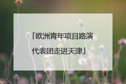 欧洲青年项目路演代表团走进天津