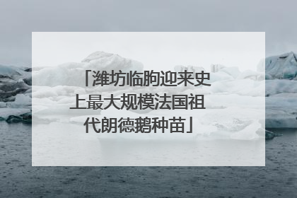 潍坊临朐迎来史上最大规模法国祖代朗德鹅种苗