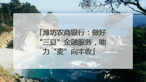 潍坊农商银行：做好“三夏”金融服务，助力“麦”向丰收