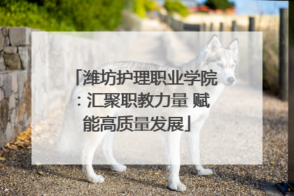 潍坊护理职业学院：汇聚职教力量 赋能高质量发展
