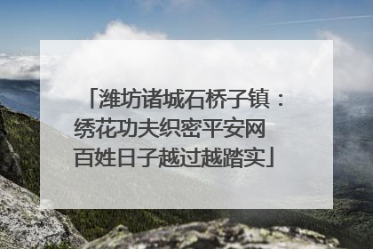潍坊诸城石桥子镇：绣花功夫织密平安网 百姓日子越过越踏实