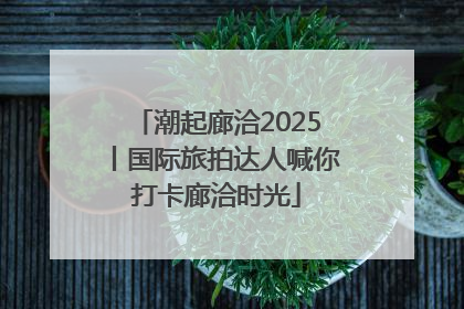 潮起廊洽2025丨国际旅拍达人喊你打卡廊洽时光