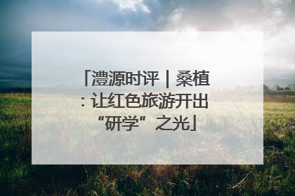 澧源时评｜桑植：让红色旅游开出“研学”之光