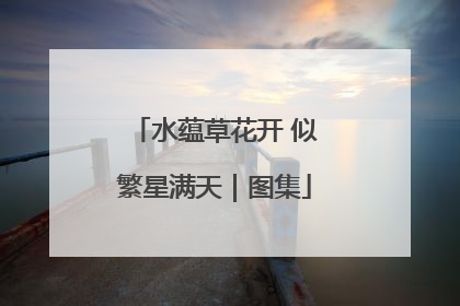 水蕴草花开 似繁星满天｜图集