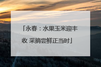 永春：水果玉米迎丰收 采摘尝鲜正当时