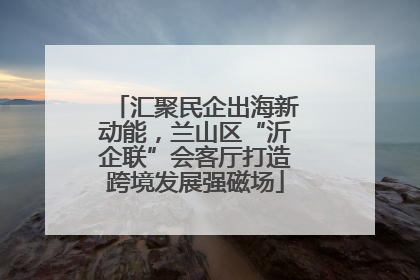 汇聚民企出海新动能，兰山区“沂企联”会客厅打造跨境发展强磁场