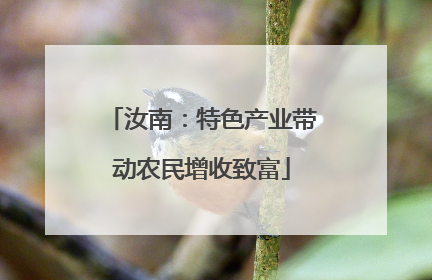 汝南：特色产业带动农民增收致富
