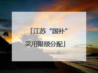 江苏“国补”采用限额分配